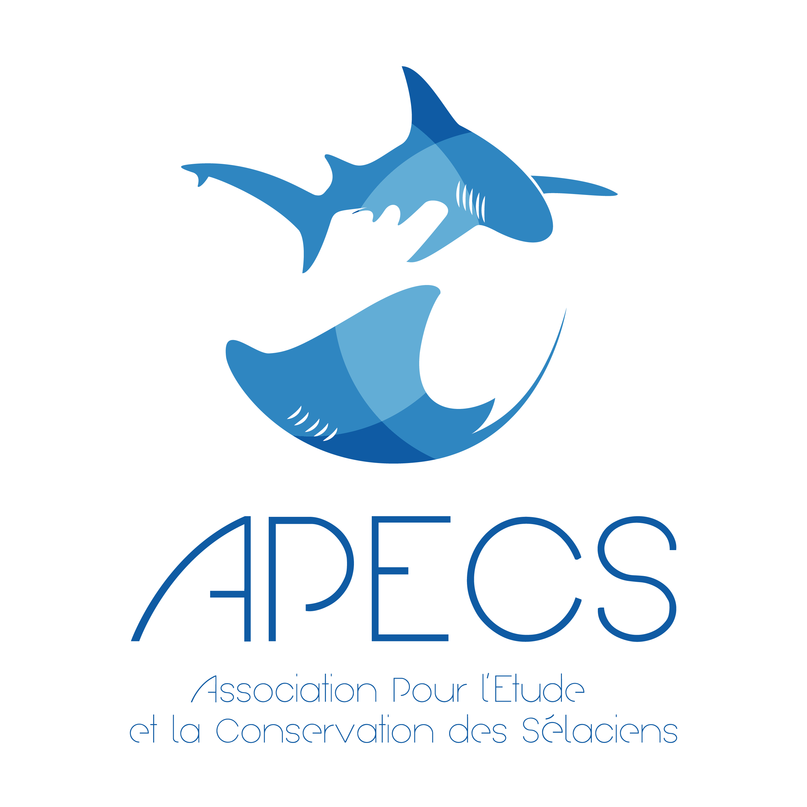 Association pour l’étude et la conservation des sélaciens - APECS